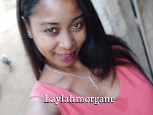 Laylahmorgane