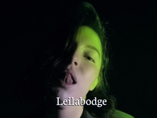 Leilabodge