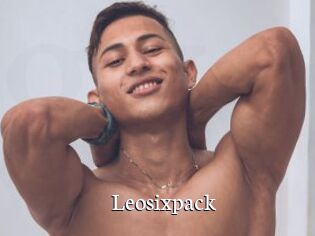 Leosixpack