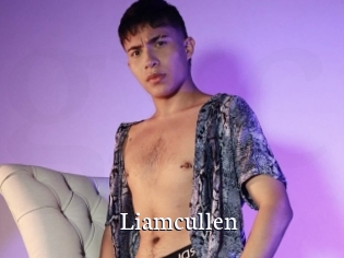 Liamcullen