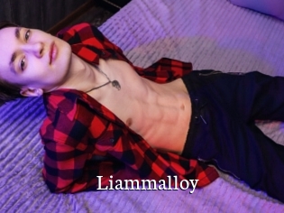 liammalloy Gratis xxx Clips