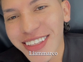 liammarco Gratis xxx Clips