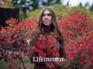 Lifeincolor