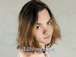 Lilblossompet