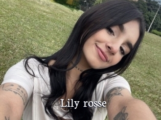 Lily_rosse
