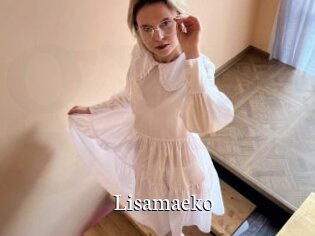 Lisamaeko