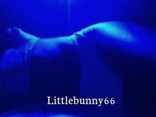 Littlebunny66