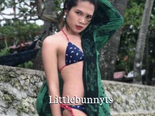 littlebunnyts Gratis xxx Clips