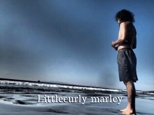 Littlecurly_marley