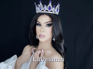 Littlesamm