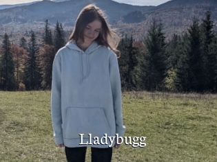 Lladybugg