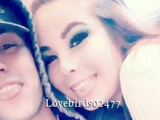 Lovebirds02477