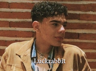 Luckrabbit