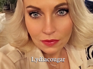 Lydiacougar