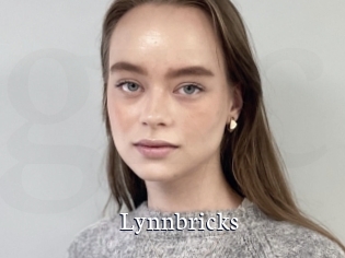 Lynnbricks