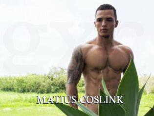 MATIUS_COSLINK