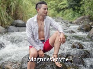 MagnusWayne