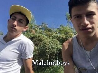 Malehotboys