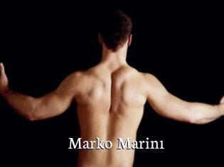 Marko_Marin1
