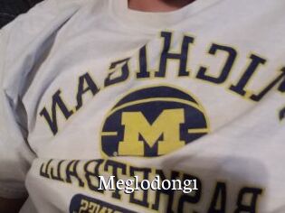 Meglodong1