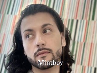 Mintboy