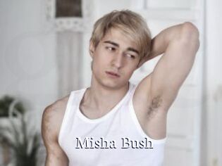 Misha_Bush