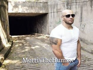 MorrisTheHumme Gratis xxx Clips