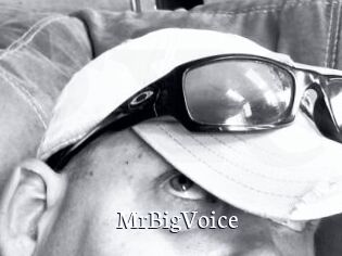 MrBigVoice