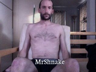 MrShnake