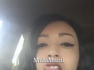 MulaMami