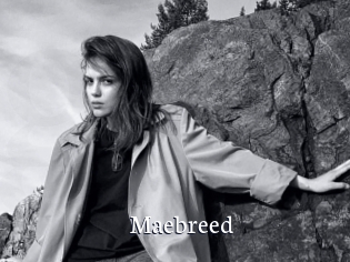 Maebreed