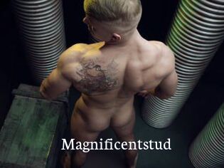 Magnificentstud