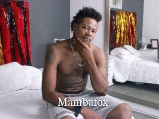 Mambafox