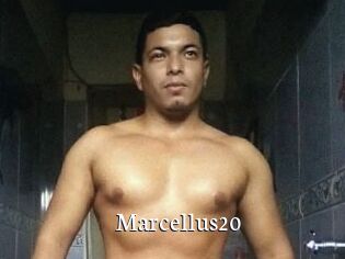 Marcellus20