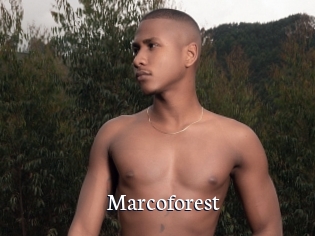 Marcoforest