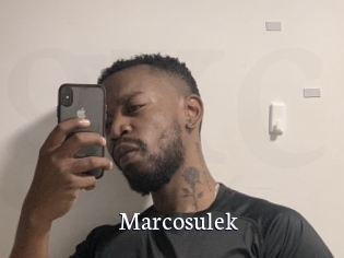 marcosulek Gratis xxx Clips