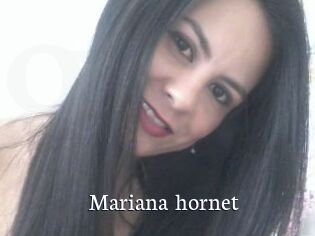 Mariana_hornet