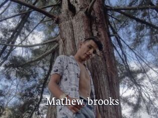 Mathew_brooks