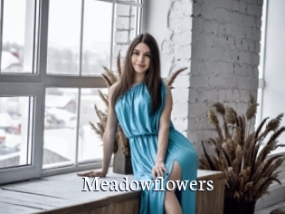 Meadowflowers
