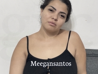 Meegansantos