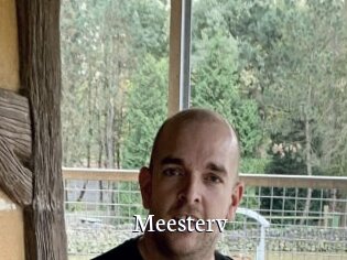 Meesterv