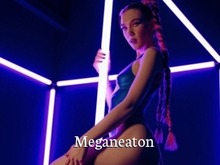 Meganeaton