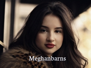Meghanbarns