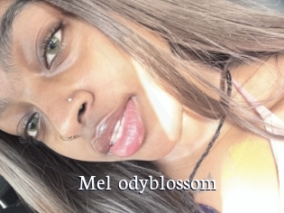 Mel_odyblossom