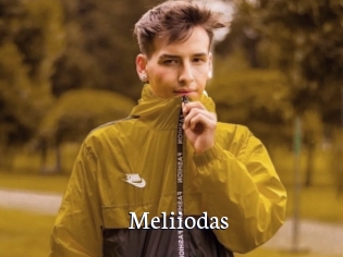 Meliiodas