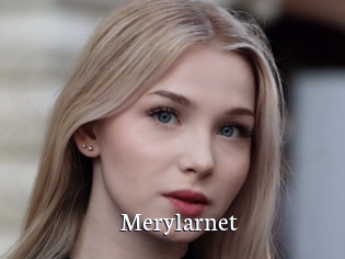 Merylarnet