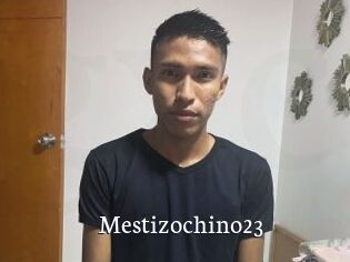 Mestizochino23