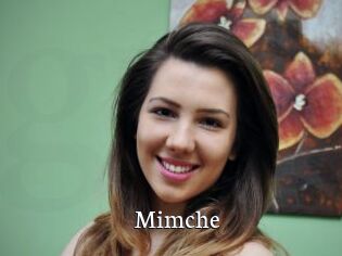 Mimche