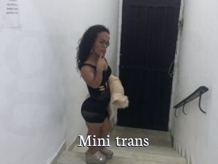 Mini_trans