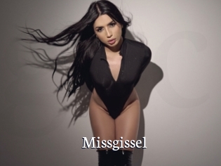 Missgissel